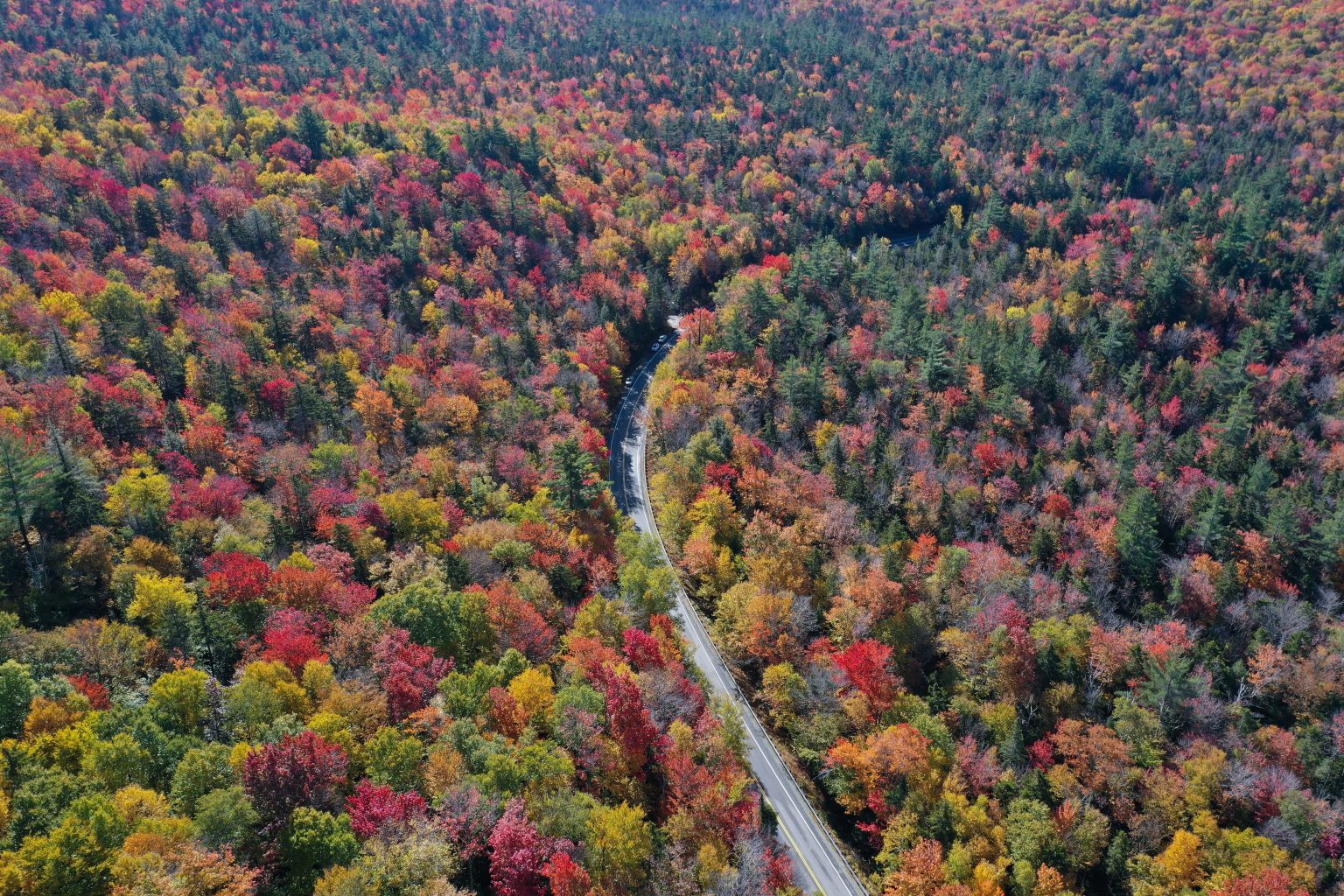 Top 5 Best Fall Foliage Drives in the USA SkyMed International