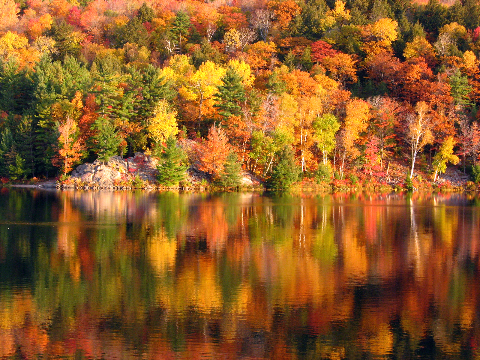 Best Places In The World For Fall Foliage | SkyMed