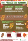 Fall Foliage By the Numbers, Skymed International, SkyMed Takes you home