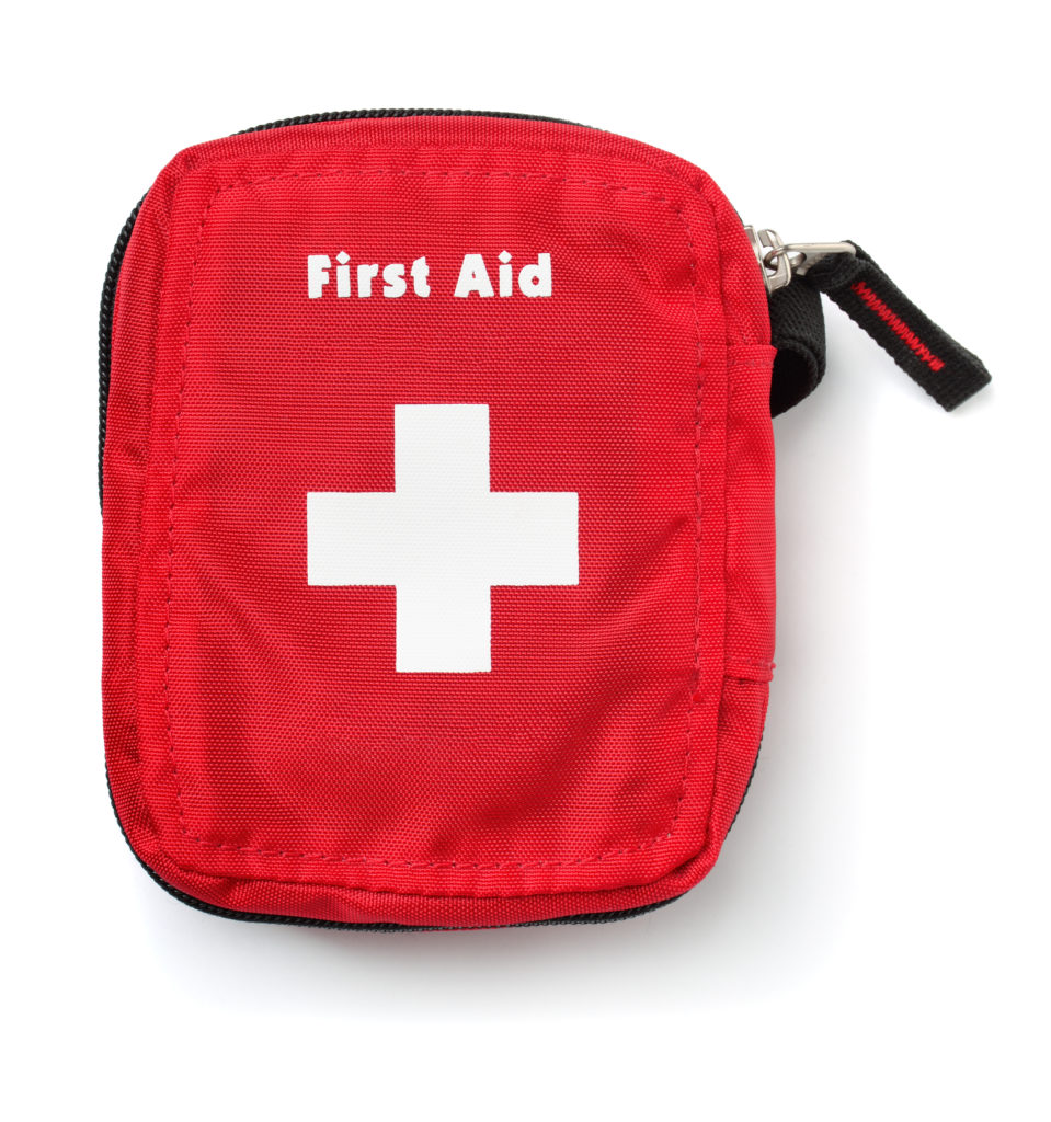 skymed travel, first aid kit, travel first aid kit
