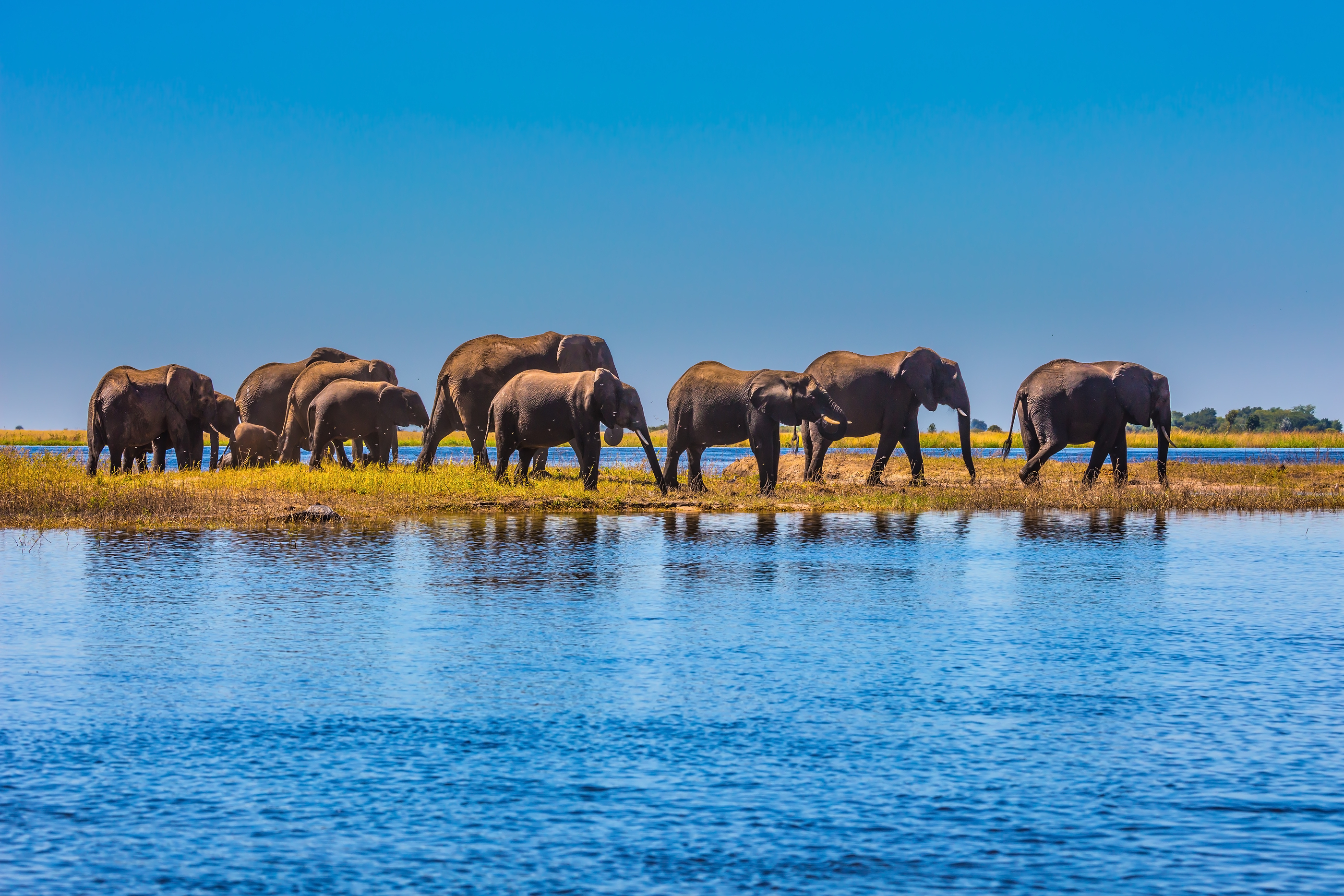 Chobe National Park Is The Oldest National Park In